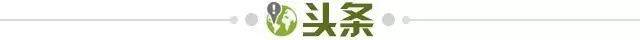 2096efb7-503a-4f82-9bc0-5abd4de8bac6.jpg@!img01